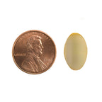 Fish Oil 1,000 mg (Per Serving) Omega-3 300 mg No Burp