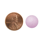 Beet Root With Magnesium