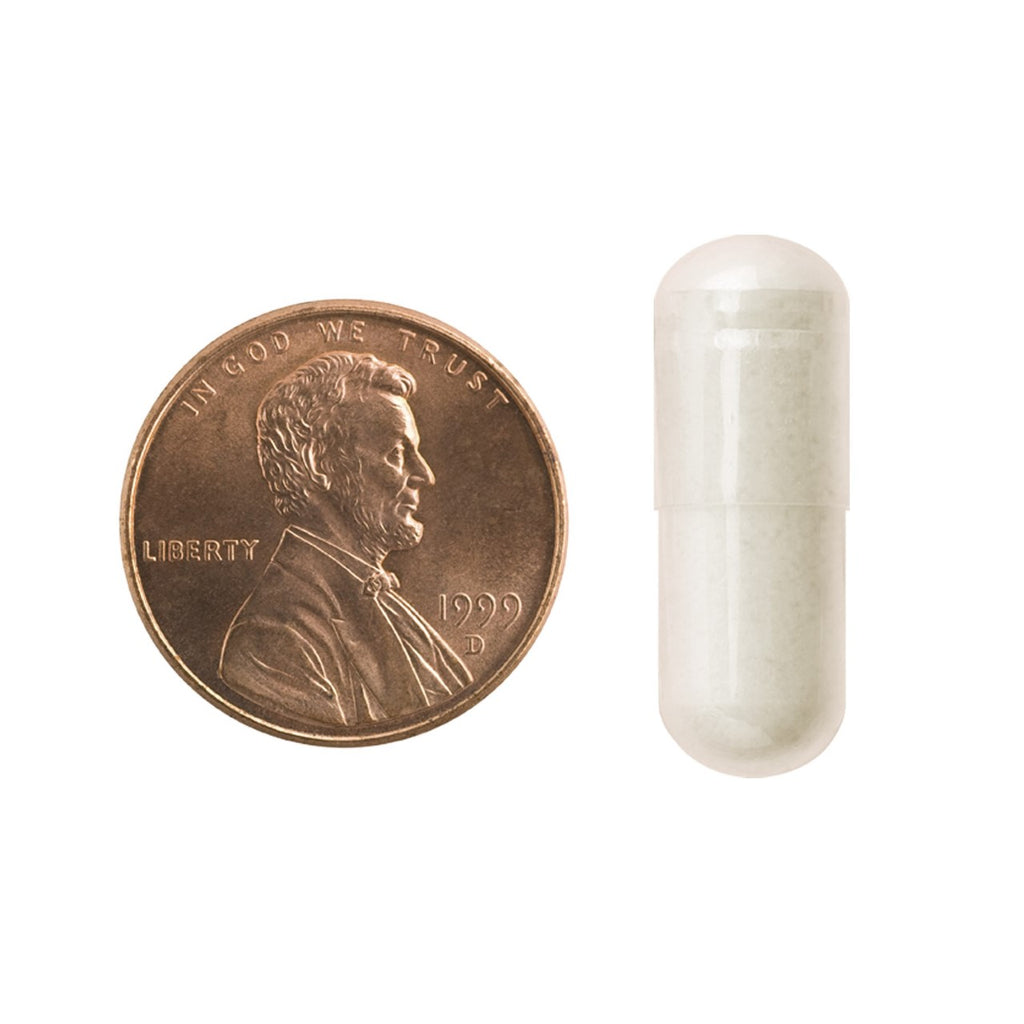 Daily Bladder Comfort